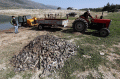 Air Danau Qaraoun Lebanon Tercemar, 40 Ton Ikan Mati