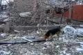 Serangan Maut Militer Rusia Tewaskan 21 Warga Sipil, Kota Sumy Ukraina Kini Bak Kota Mati