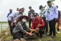 Petani Kembangkan Mina Padi di Lahan Gambut Secara Lestari