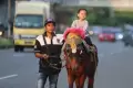 Wisata Naik Kuda di Kemayoran Jakarta