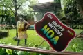 Bayi Orang Utan Noa Rayakan Ulang Tahun Pertama di Gembira Loka Zoo