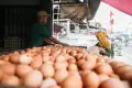 Tertinggi Sepanjang Sejarah, Harga Telur Ayam Tembus Rp32 Per Kilogram