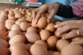 Harga Telur Ayam Masih Melonjak Tinggi