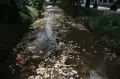 Sampah Styrofoam Cemari Kali Licin Pancoran Mas Depok