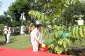 Puan Maharani Ajak Delegasi P20 Tanam Pohon di Komplek Parlemen Senayan