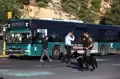 Dua Ledakan di Halte Bus Yerusalem Tewaskan 1 Orang dan 14 Terluka