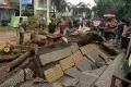 Angin Kencang Tumbangkan Pohon di Manado