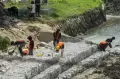 Penanggulangan Abrasi Jembatan Sungai Palu