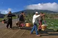 Jaga Kerukunan, Warga Desa Wonosari Gelar Tradisi Nyadran di Lereng Gunung Sumbing
