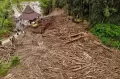 Dampak Banjir Bandang di Malang
