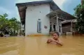 Banjir Rendam Ratusan Rumah di Jambi