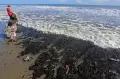 Batu Bara Kembali Cemari Pantai Aceh Barat