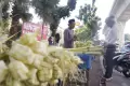 Penjual Ketupat Mulai Marak Jelang Hari Raya Idul Adha