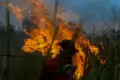 Potret Petugas Berjibaku Padamkan Api Kebakaran Lahan di Ogan Ilir Sumsel