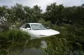 Ngeri, Pom Bensin Roboh Diamuk Badai Idalia di Florida