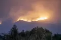 Kebakaran di Gunung Arjuno Hanguskan 3.910 Hektar Hutan dan Lahan