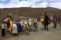 Terpencil, Korban Gempa Maroko Andalkan Keledai Bawa Bantuan