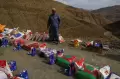 Terpencil, Korban Gempa Maroko Andalkan Keledai Bawa Bantuan