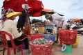 Jaga Keberlanjutan Tangkapan, Nelayan Kamboja Lepas Kepiting Muda