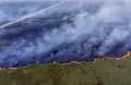 Desa Sukarami Memanas! Api Hanguskan Lahan di Sisi Jalan Tol Trans Sumatera
