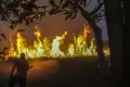 Kebakaran Lahan Ancam Rumah Warga dan Ganggu Jalan Lintas Sumatera