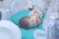28 Bayi Prematur Palestina Berhasil Dievakuasi ke Mesir
