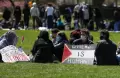Gerakan Pro-Palestina Meletus di Kampus-kampus Amerika Serikat