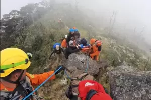 3 Kisah Pendaki Tersesat di Gunung Gede Pangrango, Nomor Terakhir Mahasiswa Binus Meninggal Dunia