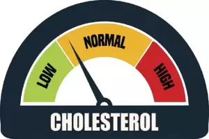 Ini Perbedaan Kolesterol LDL dan HDL Serta Kisaran Angka Normalnya
