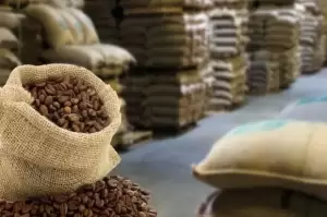 Pemerintah Gelar Coffee Expo 2022 Dorong Industri Kopi Lokal