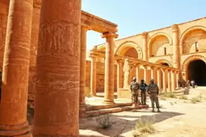 Kuil Arab Kuno Ungkap Bukti Pembiakan Unta Hibrid Dilakukan Sejak 2.000 Tahun Lalu