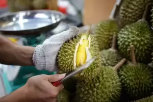 4 Daerah Penghasil Durian Terbesar di Indonesia, Termasuk Jawa Timur