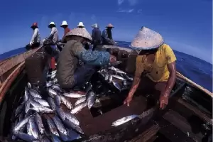 Himpunan Nelayan Sebut Kenaikan Tarif Listrik Bakal Bikin Sesak Napas
