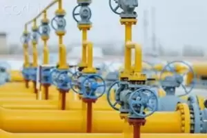 Ini Jurus Indonesia Tarik Investor Kembangkan Gas di Indonesia