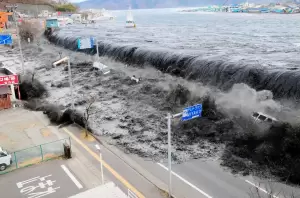 3 Kota Metropolis di Dunia Ini Bakal Diterjang Tsunami Prediksi UNESCO