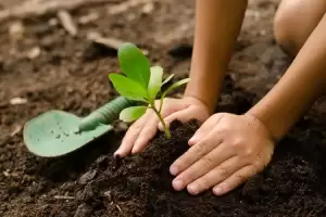 Yuk Tanam Pohon untuk Selamatkan Bumi