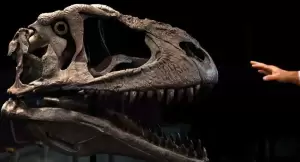 Ternyata Ini Penyebab Dinosaurus Besar Seperti T-Rex Punya Lengan Kecil