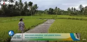 Puas! Menikmati Wisata Alam, hingga Kuliner di Desa Bonjeruk, Lombok Tengah
