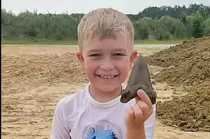 Bocah 8 Tahun Temukan Gigi Megalodon di Pantai Summerville