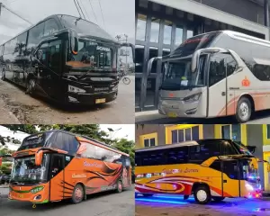 4 PO Bus Mewah di Kalimantan, Punya Banyak Fasilitas yang Bikin Penumpang Nyaman