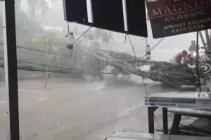 Hujan Deras, Pohon Tumbang Tutup Jalan Raya Bogor-Sukabumi