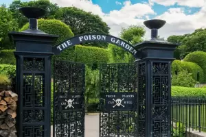 Mengenal The Poison Garden, Taman Paling Beracun di Dunia