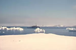 Ditemukan Bukti Kehidupan 100 Juta Tahun Lalu, Apakah Antartika Bisa Dihuni Kembali?