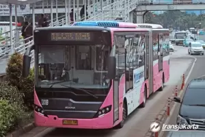 Cegah Pelecehan, Transjakarta Tambah 10 Bus Pink Khusus Wanita