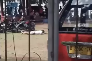 Niat Usir Monyet, Juru Parkir di Cibubur Malah Diserang Tawon