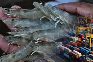 Tumbuh 10% Lebih, Ekspor Perikanan Indonesia Tembus Rp88 Triliun