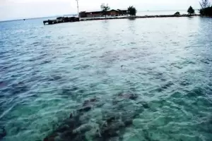 Terbawa Ombak, Nelayan Ini Terombang-ambing di Perairan Kepulauan Seribu Selama 3 Jam