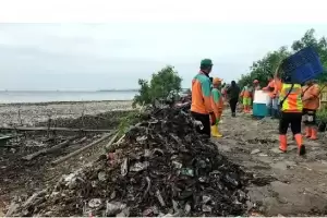 Kerja Keras! Pembersihan Lautan Sampah di Marunda Pakai Alat Manual