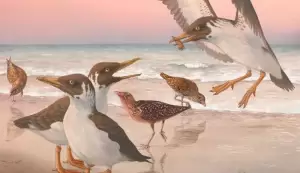 Menelusuri Asal-Usul Burung, Berevolusi Lambat Sejak Zaman Jurassic