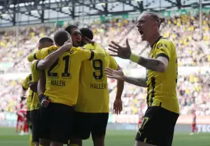 Borussia Dortmund Sedikit Lagi Juara Liga Jerman, Edin Terzic: Harus Tancap Gas